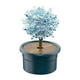 thumbnail image 3 of Novedad Kit De Cultivo De árboles De Cristal Juguete Educativo De Aprendizaje Para Niños Cerulean, 3 of 5