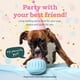 thumbnail image 2 of Juguete interactivo para perros WOOF Party Pupsicle para perros pequeños, 2 of 7
