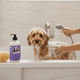 thumbnail image 4 of Acondicionador De Avena Perro & Gato Piel Sensible 1 Litro, 4 of 4