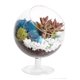 thumbnail image 1 of Kit de terrario Creations de Nathalie Glass DIY con soporte de metal, 1 of 9