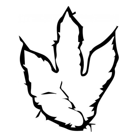 Rienda Libre Graphics - Decomural Dinosaur Footprint Jurassic Ws-33653