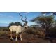 thumbnail image 3 of Videojuego THQ Nordic Way of the Hunter para PS5, 3 of 7