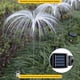 thumbnail image 2 of 2pcs 7LEDs Solar Fiber Optic Lights, Waterproof Jellyfish Lights, Decorative Lawn Lights, Turn The Switch On, Automatic Charging During The Day, Automatic Lighting At Night, Charging 6-8 Hours, Lighti, 2 of 2