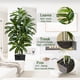 thumbnail image 3 of Árbol de dracaena artificial TNGGNT, yuca tropical de seda sintética de 6 pies, 3 of 9