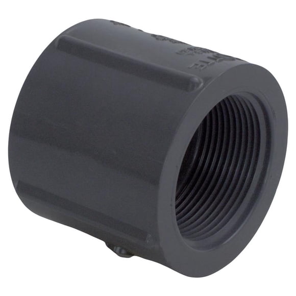 Acoplamiento de PVC Charlotte Pipe Schedule 80, 1,5 cm FPT x 1,5 cm de profundidad