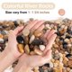 thumbnail image 5 of GASPRO Piedras de río naturales pulidas 6,8 kg para jardinería, 5 of 7