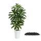 thumbnail image 1 of Árbol de dracaena artificial TNGGNT, yuca tropical de seda sintética de 5 pies, 1 of 6