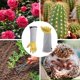 thumbnail image 3 of Guantes de jardinería Supersfel con puños ajustables de piel unisex, 3 of 7