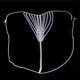 thumbnail image 5 of Cadena corporal para mujer, joyería sencilla, redonda, con cintura, bonita y sexy, bikini con diamantes de imitación, cadena para el vientre, tanga de cristal, 5 of 6