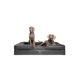 thumbnail image 1 of Cama para Perro NOAH & PAW XXL 140x115x28 cm Ortopédica con Gel, 1 of 9