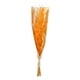 thumbnail image 1 of Mix de Pampas y Avena en Medio Ramo 80 cm, 1 of 1