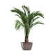 thumbnail image 2 of Calcomanías De Pared Con Plantas Botánicas, Adornos Para Estanterías, Pegatinas De Arte De Pared En 3D Para Dormitorio, 2 of 5