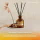thumbnail image 3 of Difusor De Aroma Mikado Aromatherapy 150ml Varillas Ratan verde claro, 3 of 3