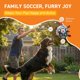 thumbnail image 2 of Juguete para perro QDAN Pelota de fútbol 25 cm con correas, 2 of 9