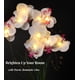 thumbnail image 4 of Lámpara con forma de orquídea HOMESEASONS Homeseaons, arreglo con iluminación LED, 4 of 7