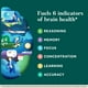 thumbnail image 2 of Suplemento NEURIVA Plus Brain Memory Focus 30 cápsulas, 2 of 3