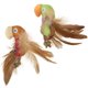 thumbnail image 1 of Juguete para gato SmartyKat Pájaros de plumas – Pack de 2 con hierba gatera y silvervine, 1 of 7