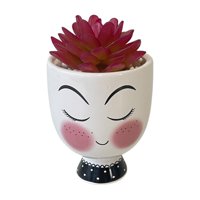 Mallorca - Suculenta Decorativa Akiko Roja Mediana