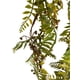 thumbnail image 2 of Ramo Cypress Rojo, 2 of 3