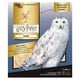 thumbnail image 1 of Harry Potter Hedwig Libro y Modelo Armable En Madera, 1 of 2