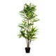 thumbnail image 1 of Planta Artificial Arbol De Yuca 180 Cm, 1 of 1