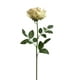 thumbnail image 1 of Rosa Blush 85cm Realista, 1 of 3