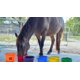 thumbnail image 3 of Muestra de hidratación Improve Equine para caballos, 3 of 7