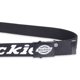 thumbnail image 3 of Cinturón de tela de algodón Dickies con hebilla de placa, 3 of 5