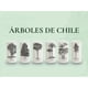 thumbnail image 1 of Juego de 6 Vasos Árboles de Chile negro, 1 of 8