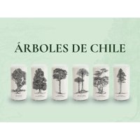 Green Glass - Juego De 6 Vasos Árboles De Chile Negro