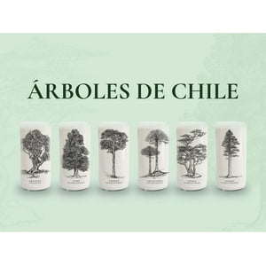 Green Glass - Juego De 6 Vasos Árboles De Chile Negro