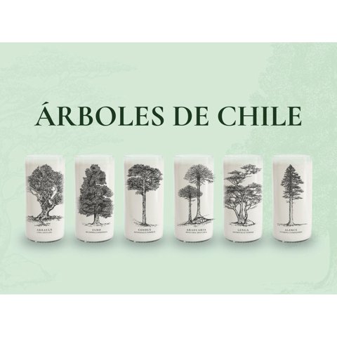Green Glass - Juego De 6 Vasos Árboles De Chile Negro