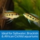 thumbnail image 5 of Estabilizador De Ph Para Agua De Acuario Proper Ph 8 2 210g, 5 of 6