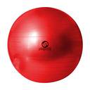 Genérico - Pelota Pilates Lisa 65 Cms / 1000 Gramos