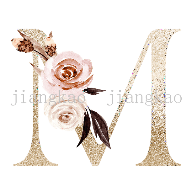 Personalised Name Initial Backpack with Pink Gold Letter Design Girls Kid Nursery Child Pre School Rucksack School Bag Backpack