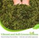 thumbnail image 4 of Musgo artificial artificial Riare de 0,6 kg para decoración de plantas de interior, 4 of 7