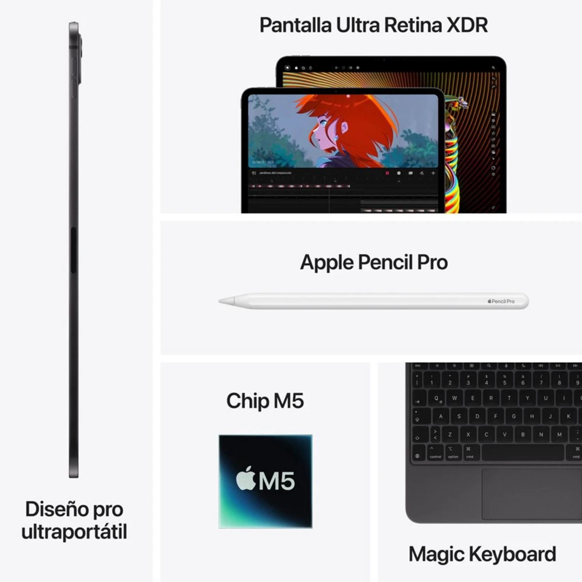 iPad Pro 13 M5 Wi-Fi + Cellular pantalla estandar 256GB negro