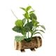 thumbnail image 4 of Plantas Verdes En Macetas Artificiales Plantas En Macetas Pequeñas Para Estante Farmhouse Style V, 4 of 5