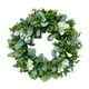 thumbnail image 5 of Guirnalda De 42 Cm, Guirnalda Colgante Artificial, Planta Verde, Boda, Decoración Del Hogar, Blanco, 5 of 5
