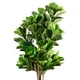 thumbnail image 5 of Planta Artificial Decorativa Arbol Grande Ficus Lyrata 180 cm, 5 of 7
