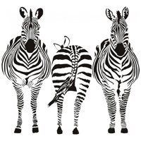 Rienda Libre Graphics - Decomural Group Zebra Safari Animals Ws-17659