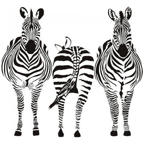Rienda Libre Graphics - Decomural Group Zebra Safari Animals Ws-17659