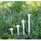 thumbnail image 5 of Golf Tee Pride Deluxe de madera, 500 unidades, 7 cm, blanco para conductor, 5 of 9