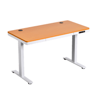 Relan - Escritorio Eléctrico Oak Pro Top Living Standing Desk