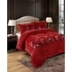 thumbnail image 2 of Cobertor de Invierno Plush Chiporro Ultra Suave Plaza y media, 2 of 6