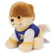 thumbnail image 3 of Chaqueta universitaria de peluche GUND Boo, el perro más lindo del mundo, 23 cm, 3 of 5