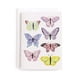 thumbnail image 1 of Tarjeta de Felicitación Minted 5x7 con Mariposas Vibrantes, 1 of 3
