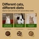 thumbnail image 5 of Comederos Automáticos para Gatos PETLIBRO RFID para 2 Gatos - Pack, 5 of 9