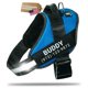 thumbnail image 1 of Arnés para Perro Doggykingdom Personalizado Azul Talla S, 1 of 9
