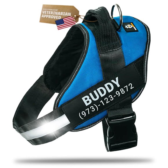 Arnés para Perro Doggykingdom Personalizado Azul Talla S
